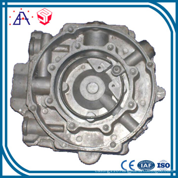 Customized Made Aluminum Die Casting Auto Part (SY1140)